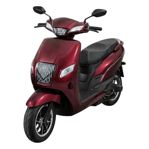 Rental EV